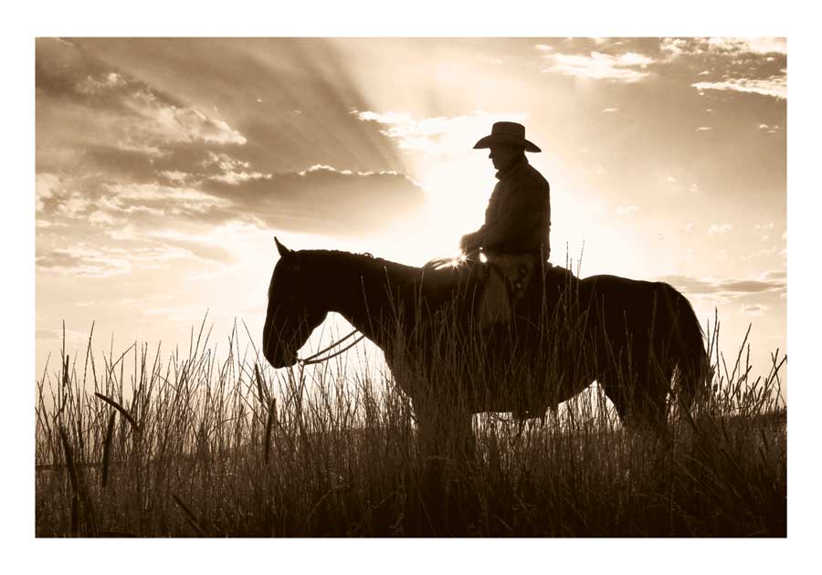 Day' s End by artist Wendy Caro