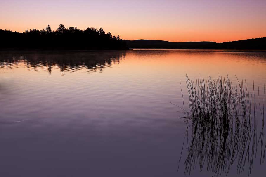 Breaking Dawn by artist Daniel J. Bellyk