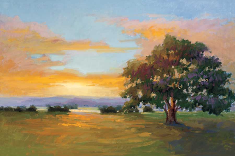 A Sunset Salute by artist Vicky McMurry