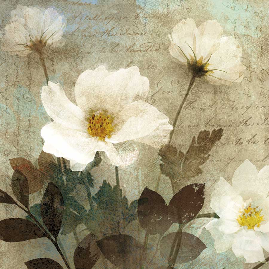 Anemone I by artist Keith Mallett