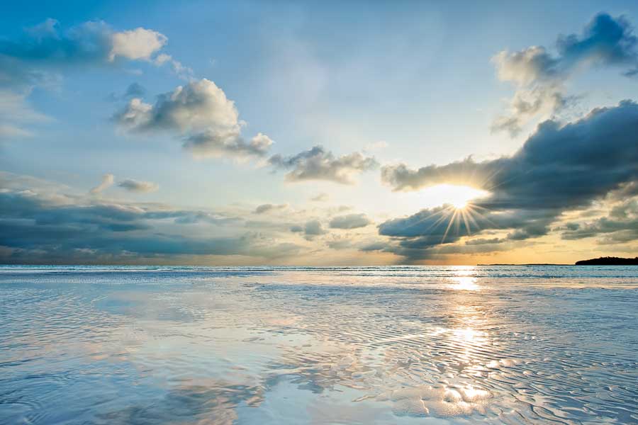 Taylor Bay by artist Daniel J. Bellyk