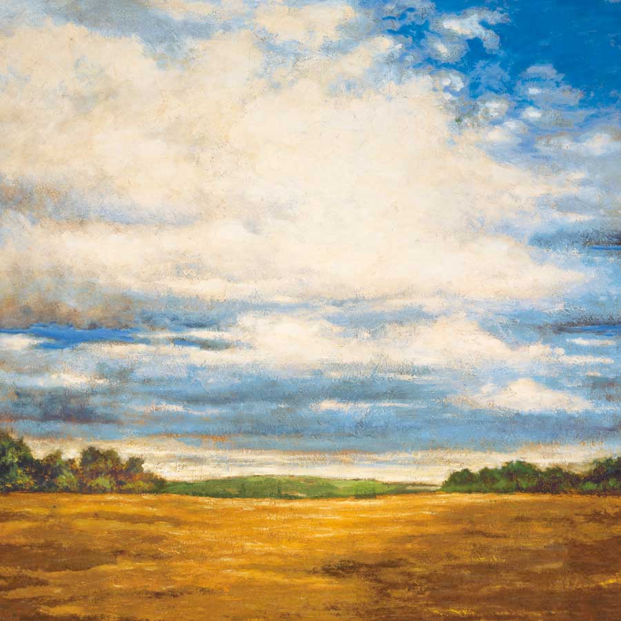 Tranquil Meadow by artist Zenon Burdy