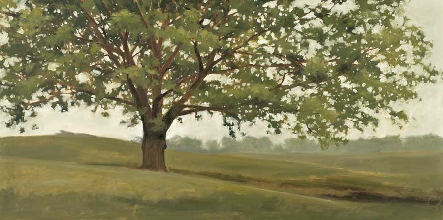 Wisdom Grows by artist Megan Lightell