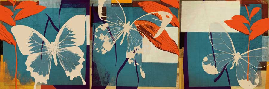 Butterflies Viola by artist  NOAH