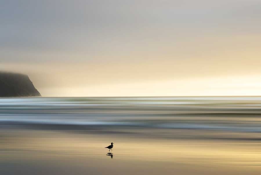 Morning Visit by artist Marvin Pelkey