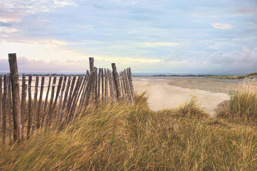 West Wittering Beach by artist Assaf Frank