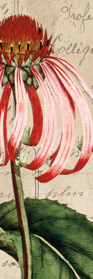 Jardin Botanique I by artist Sabine Berg 