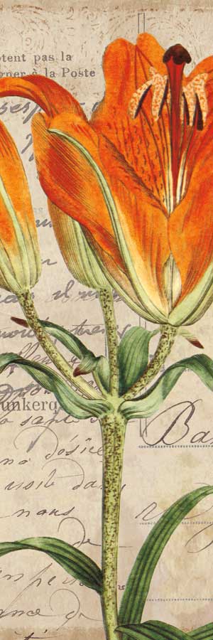 Jardin Botanique II by artist Sabine Berg 