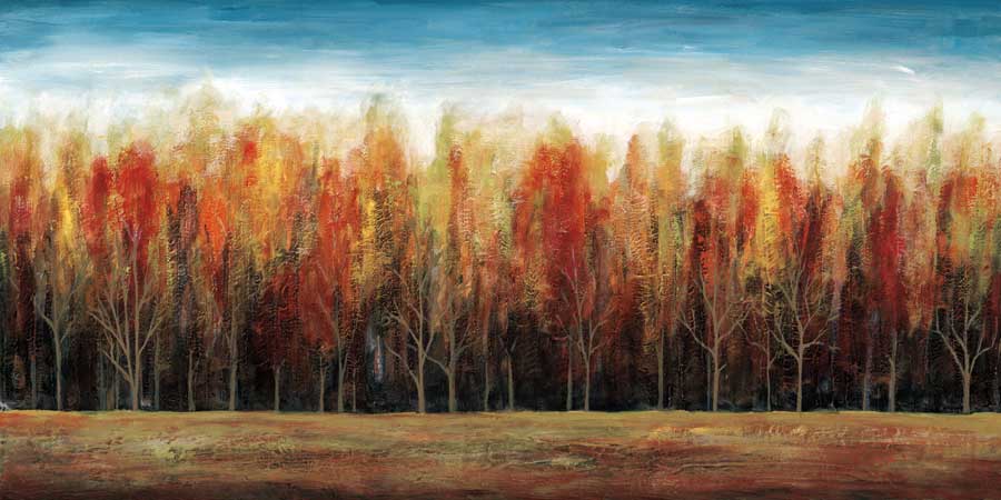 Deep Forest by artist Stephane Fontaine