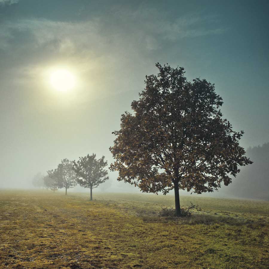 It's a New Day by artist Assaf Frank