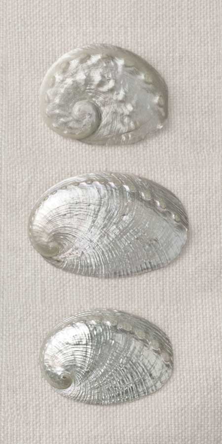 Opalescent II by artist Assaf Frank