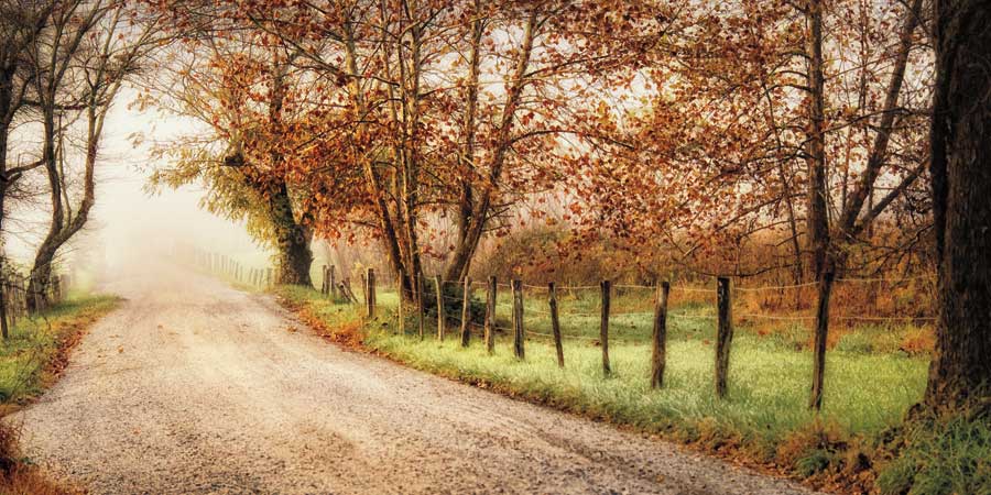 Fog Ahead by artist D. Burt