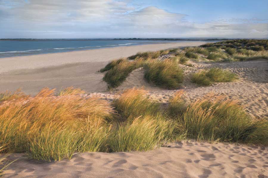 Sandy Shores by artist Assaf Frank