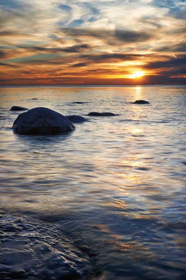 Nature' s Bliss by artist Daniel J. Bellyk