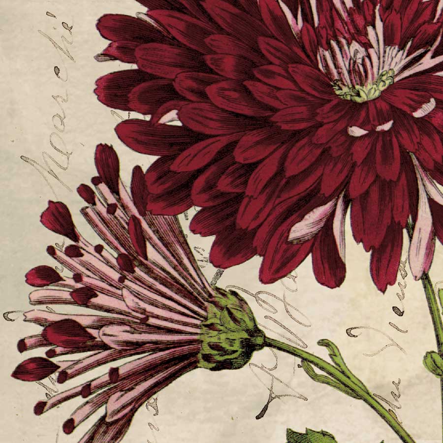 Joyful Bloom II by artist Sabine Berg