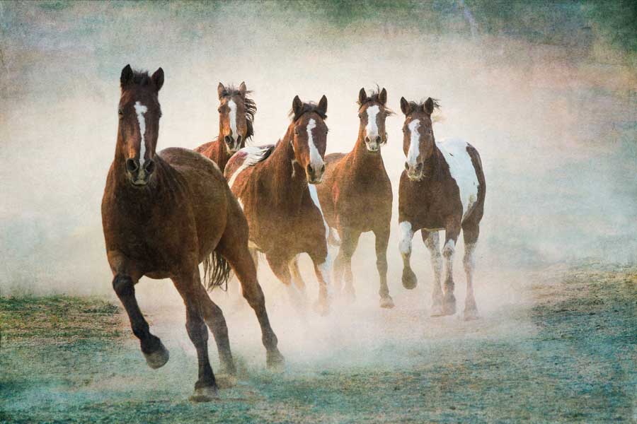 Blaze of Glory by artist Wendy Caro