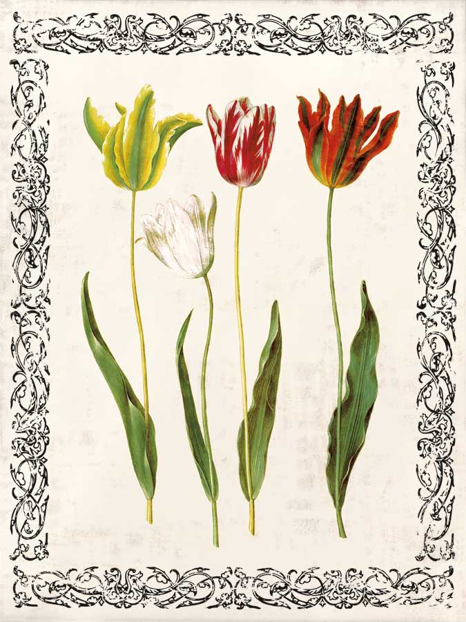 Spring Blooms I by artist Sabine Berg