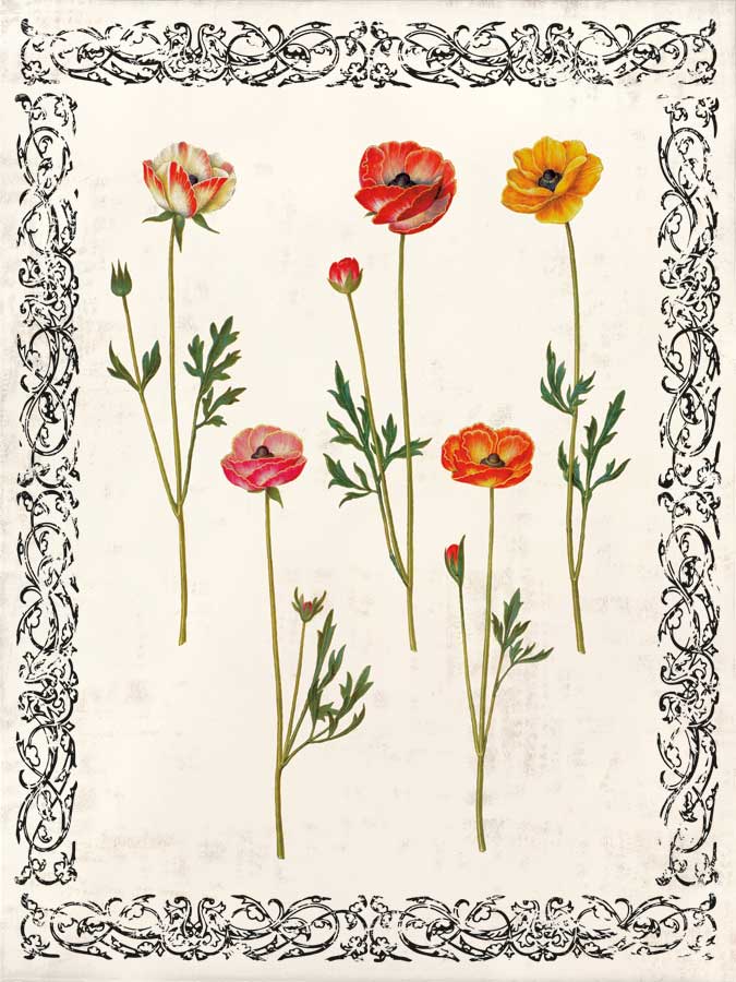 Spring Blooms II by artist Sabine Berg