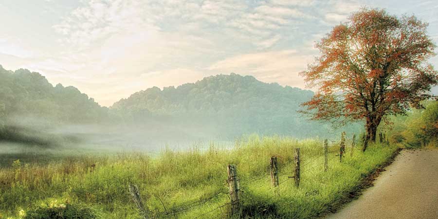 Autumn's Approach by artist D. Burt