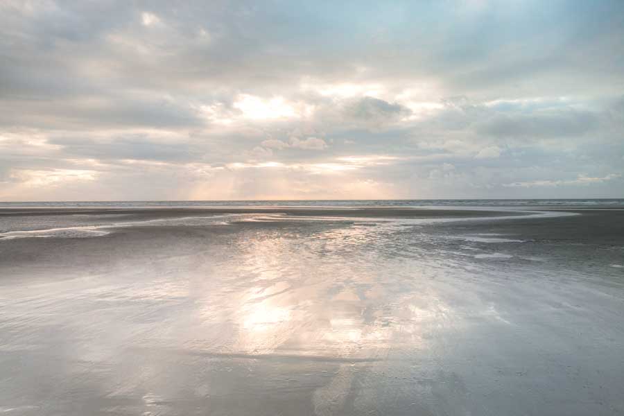 Silver Sands by artist Assaf Frank