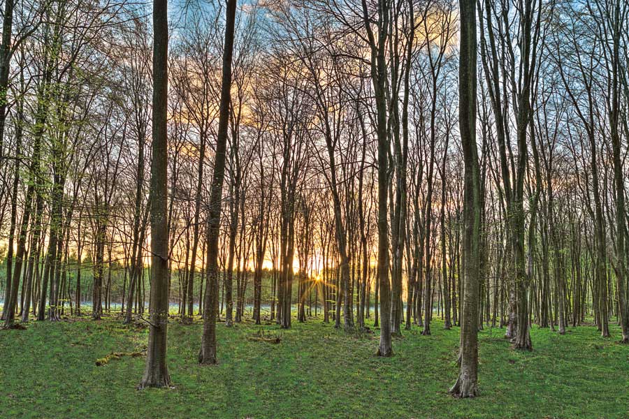 Secret Sunset by artist Assaf Frank