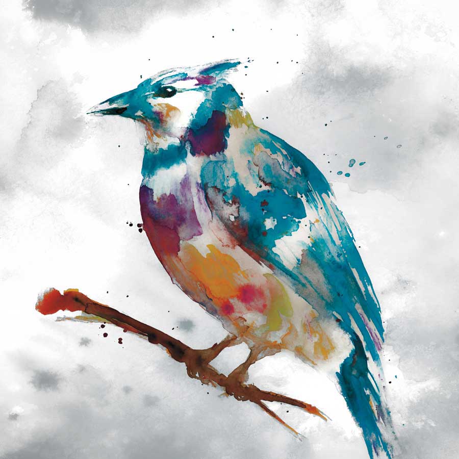 Blue Jay by artist  Stephane Fontaine