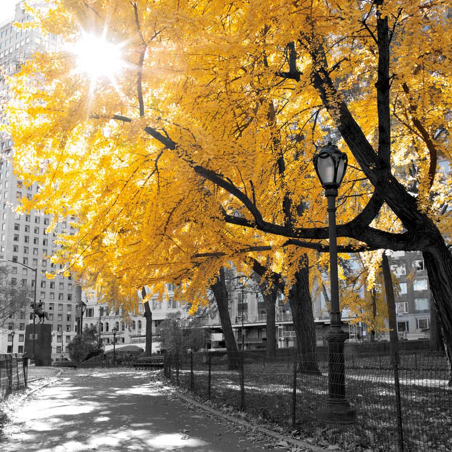 Park Pretty II by artist  Assaf Frank