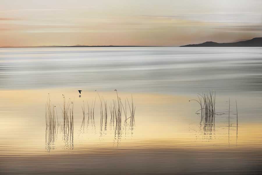 Golden by artist  Marvin Pelkey