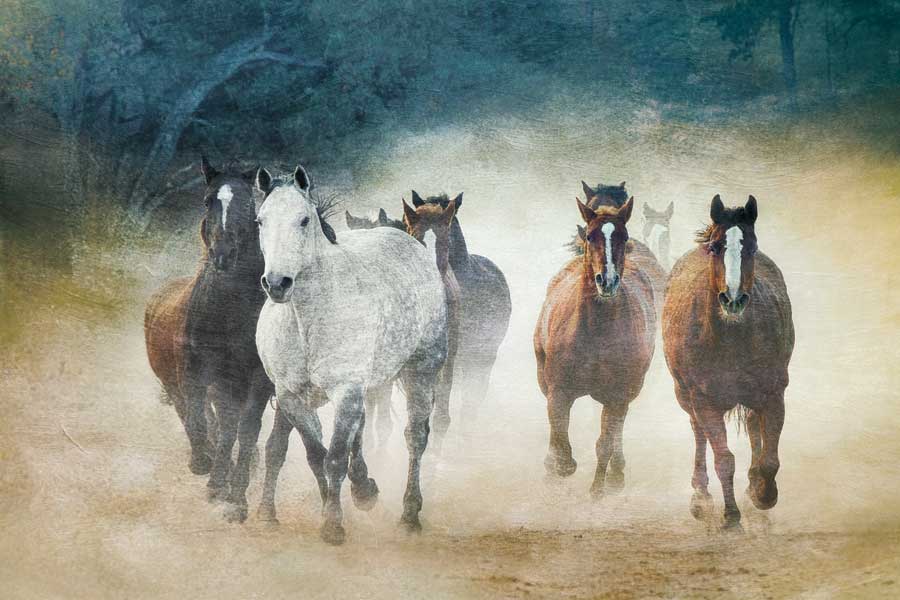 Dust Devils by artist  Wendy Caro