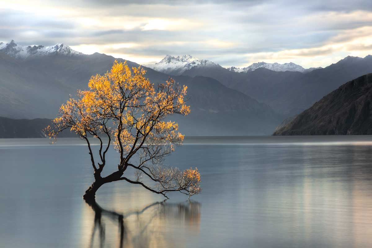 Undisturbed by artist  Michael Cahill