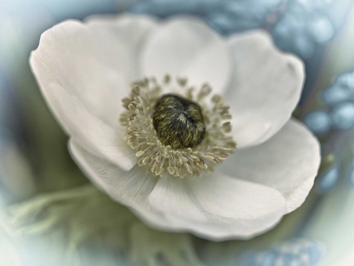 Inspired by artist  Assaf Frank