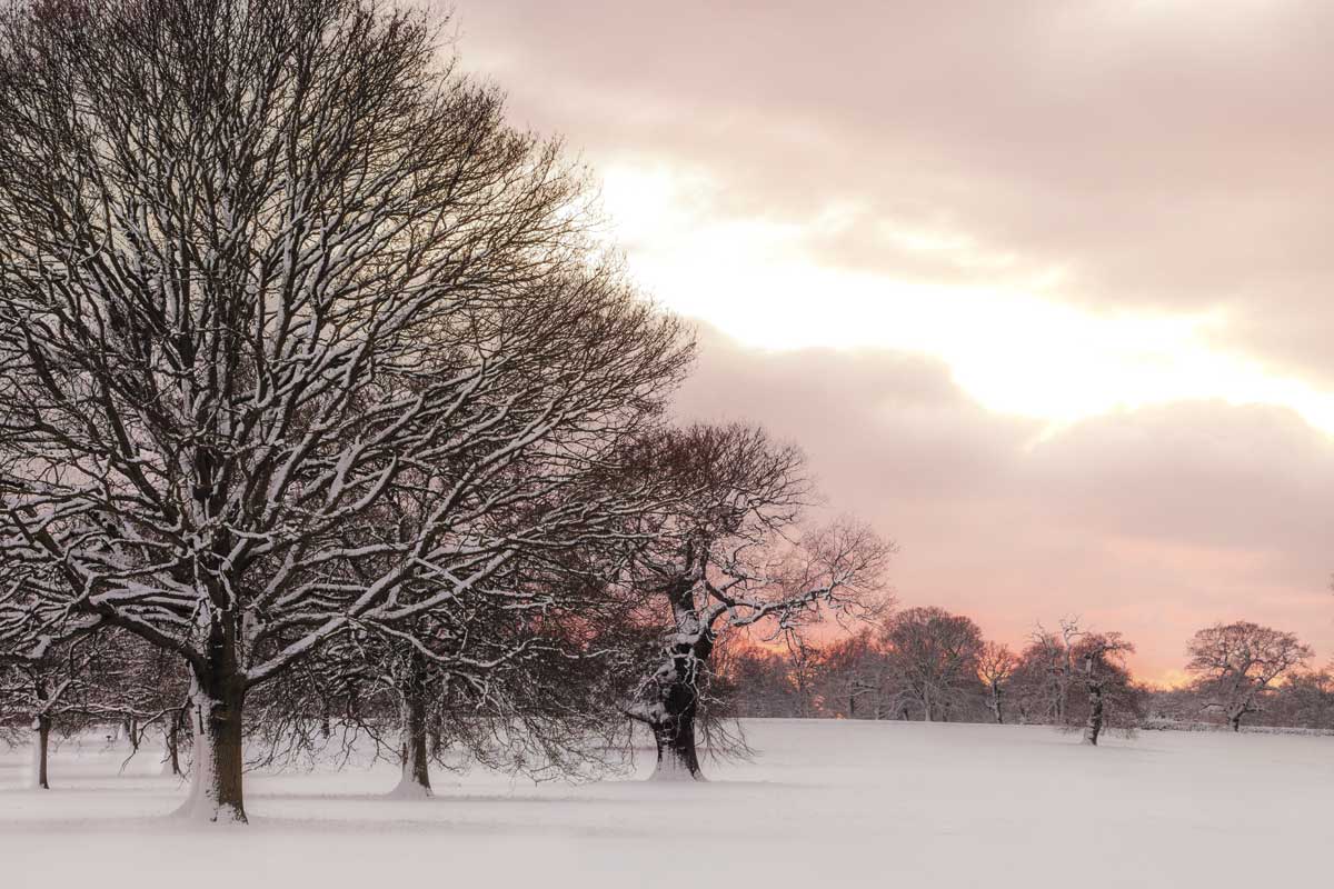 Rosy Sunset by artist  Assaf Frank