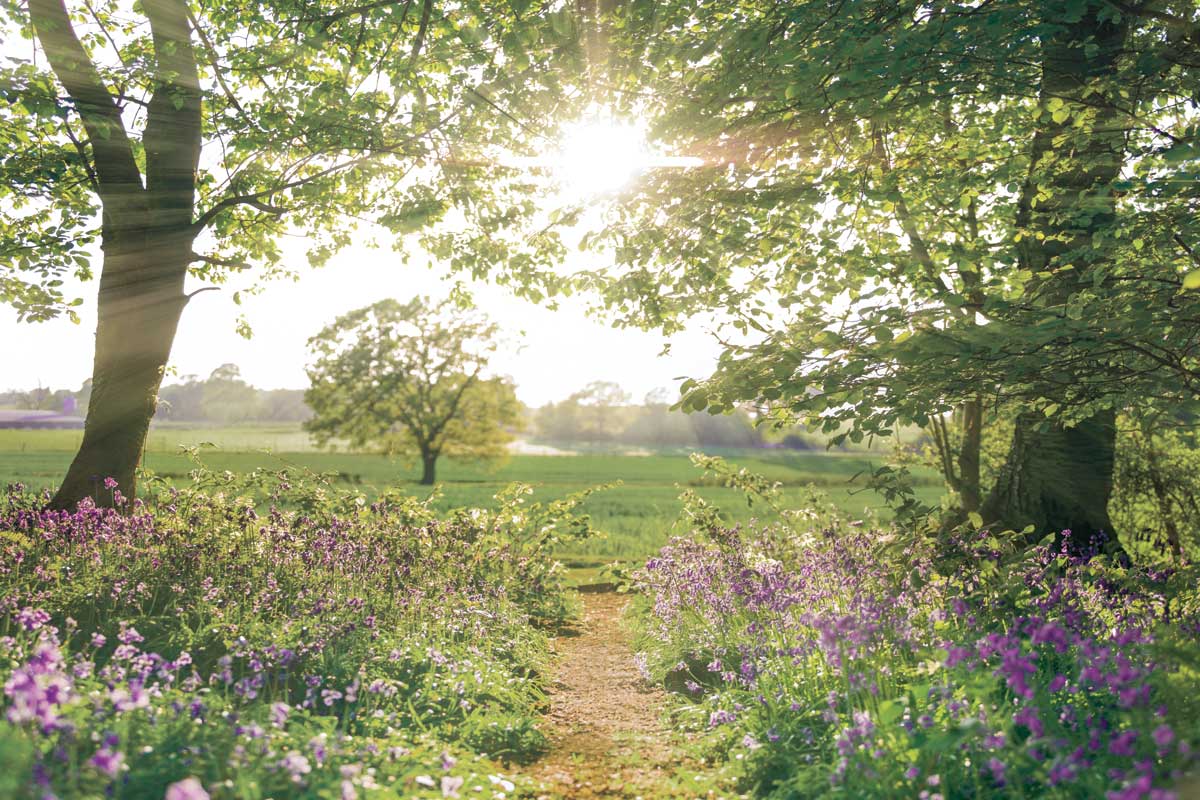 Something Beautiful by artist  Assaf Frank