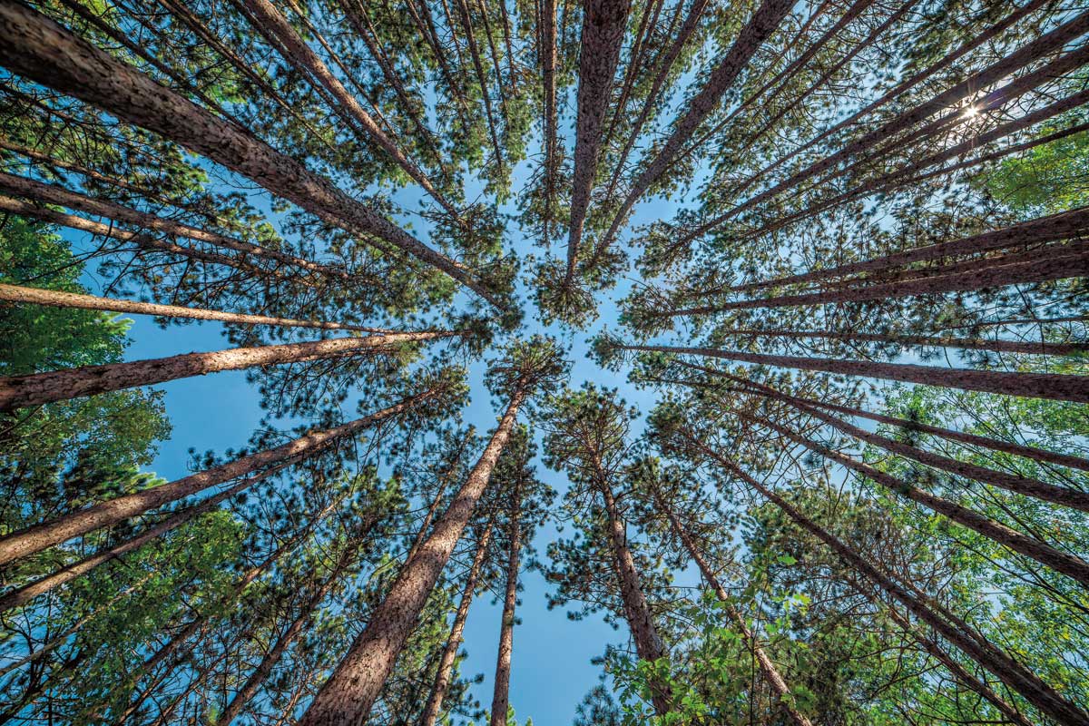 Up by artist  Daniel J. Bellyk