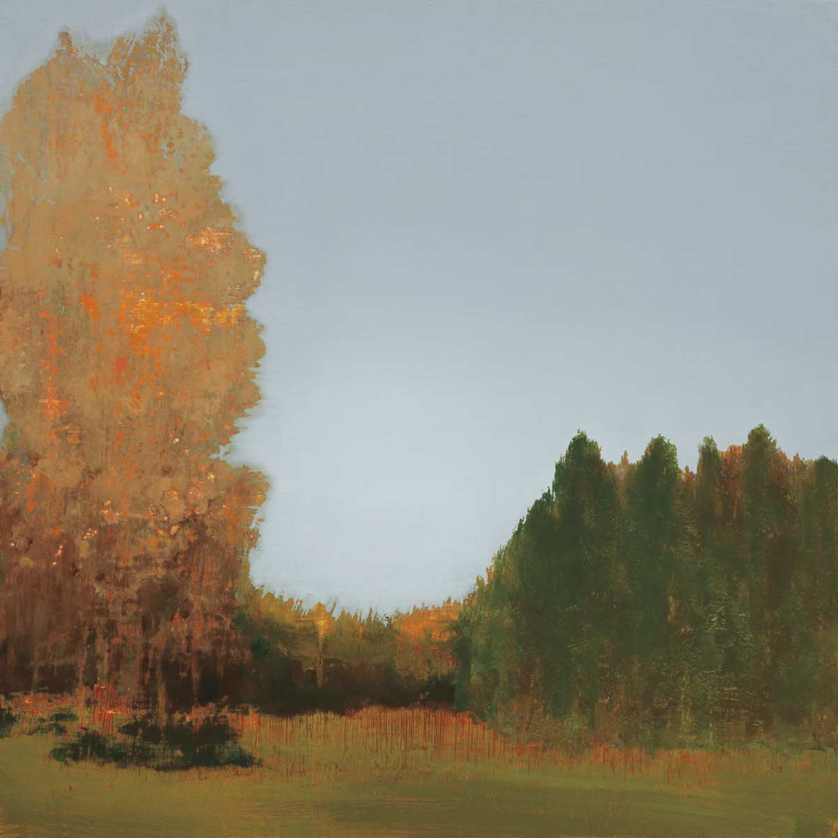 Copper Grove I by artist  Caroline Gold