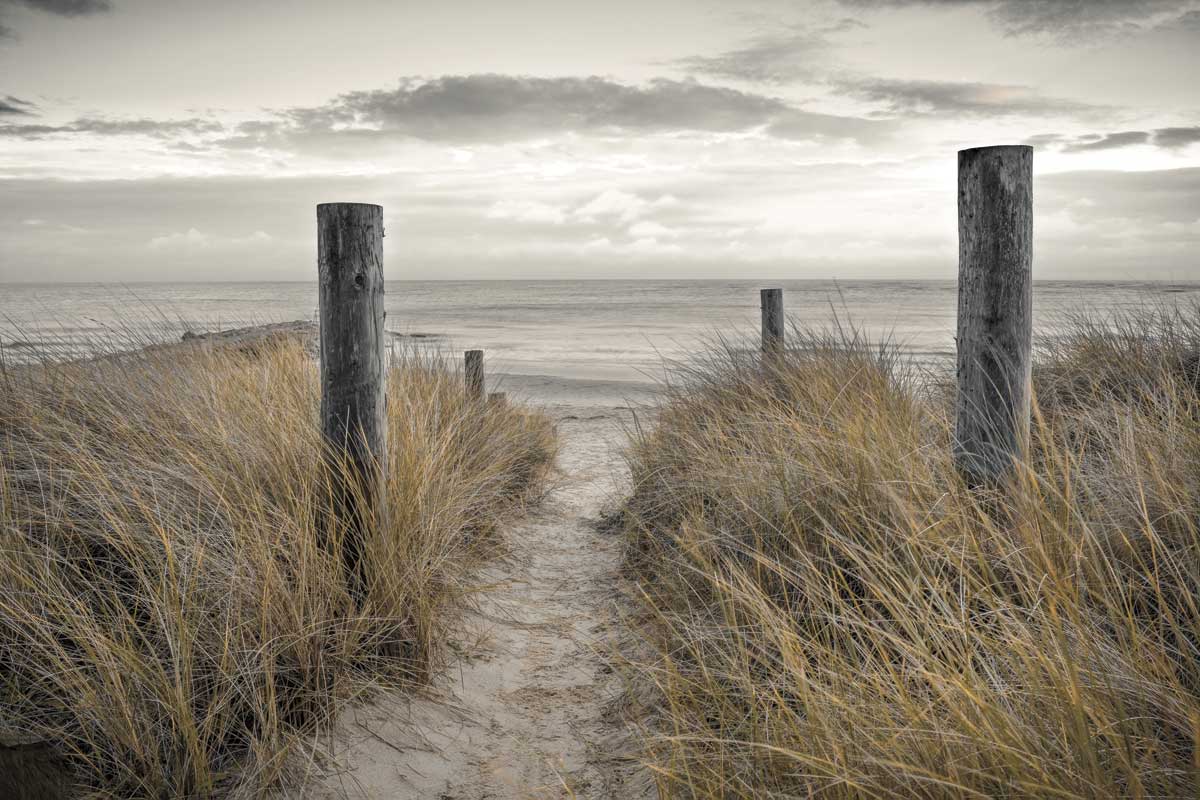 Beach Day by artist  Assaf Frank