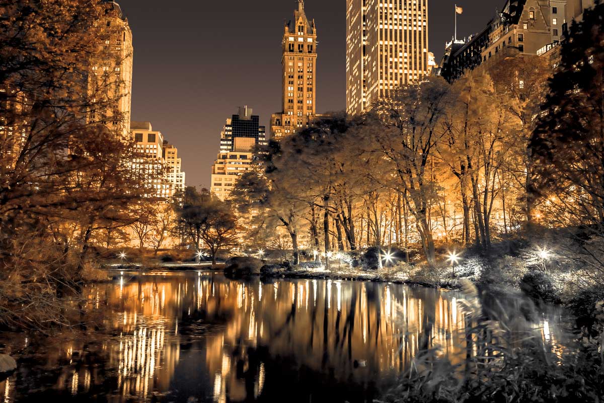 Central Park Glow by artist  Assaf Frank