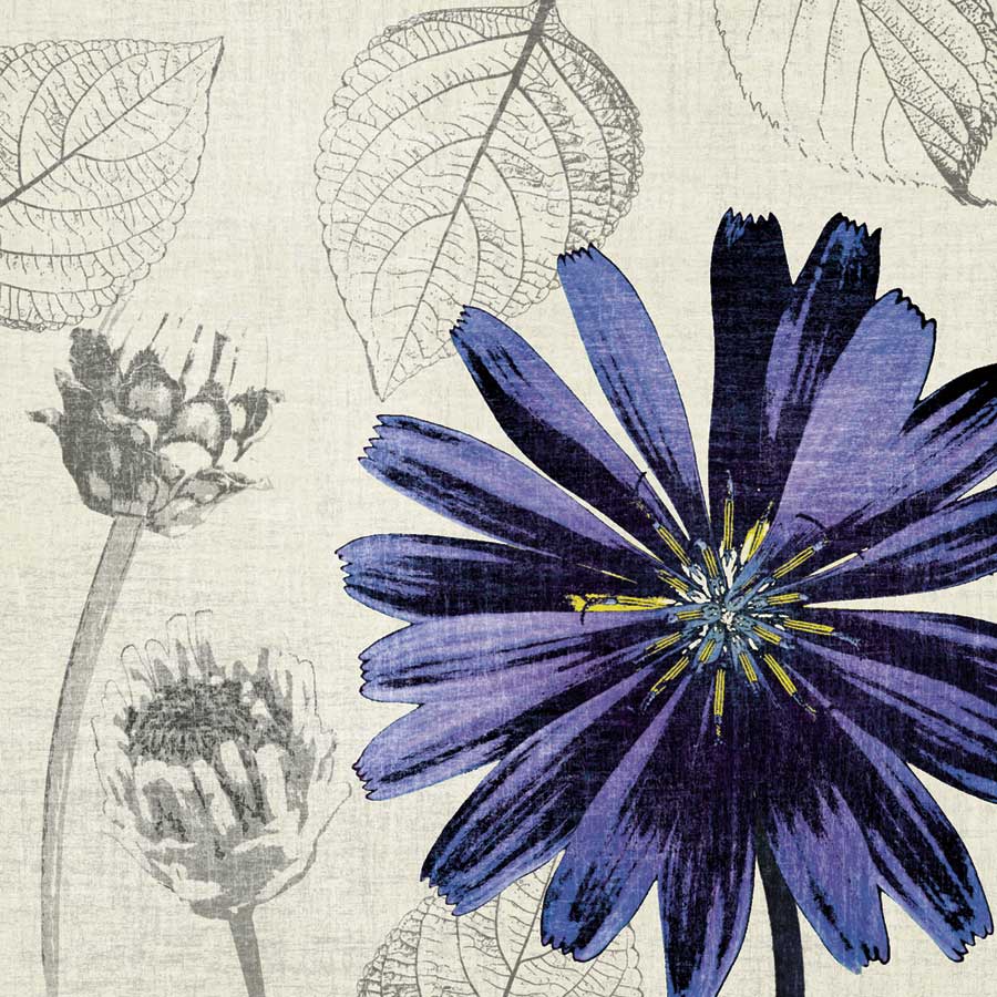 A Touch of Color III by artist Tandi Venter