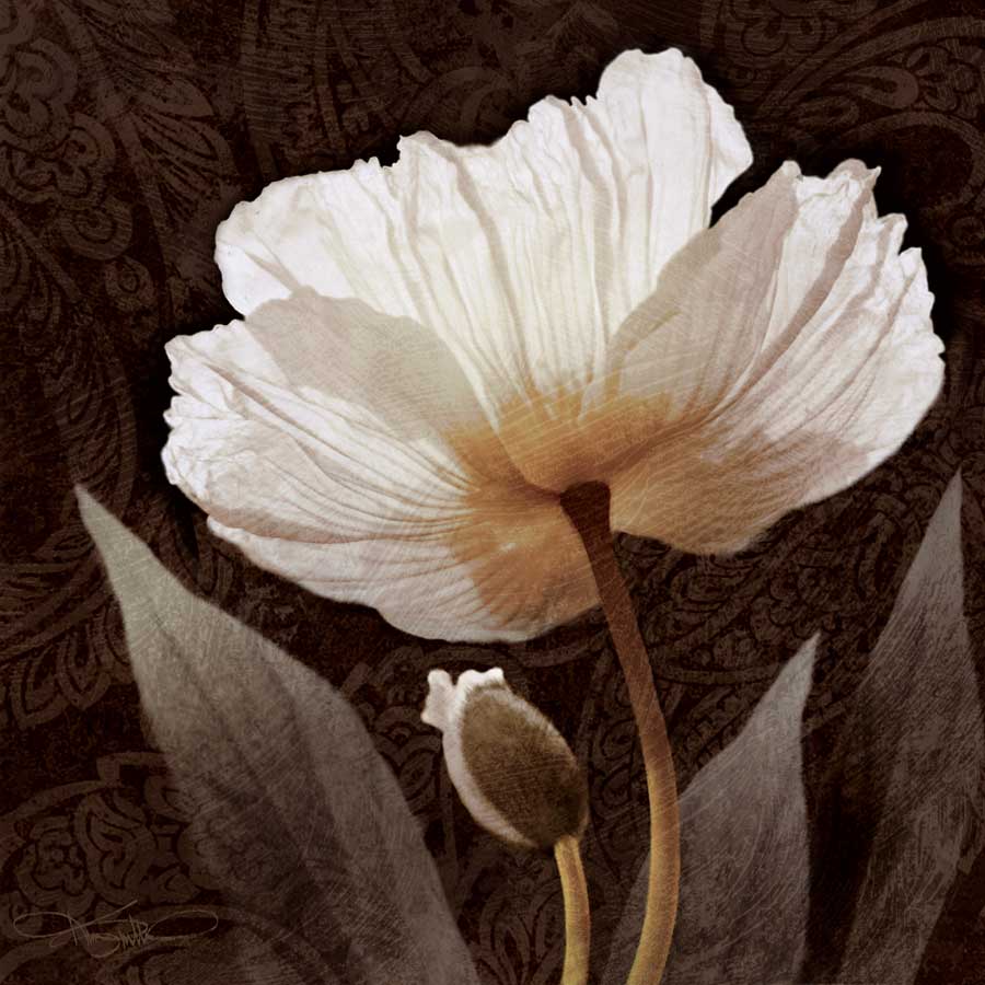 Paisley Poppy I by artist Keith Mallett