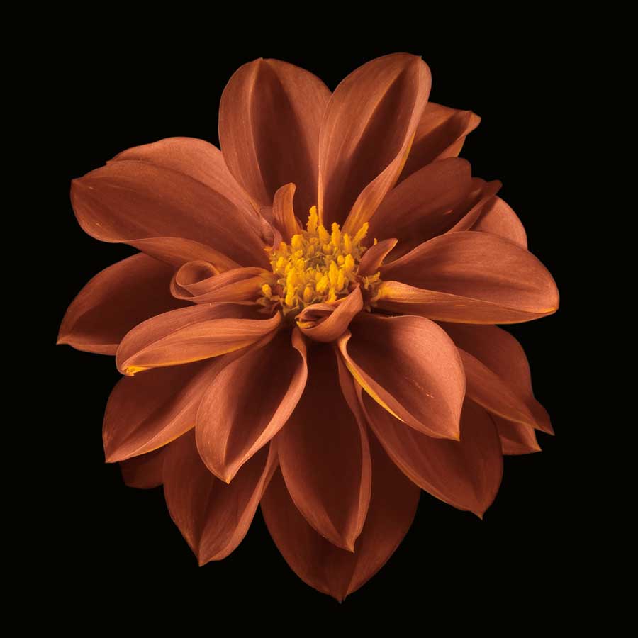 Four Keeps I by artist Assaf Frank