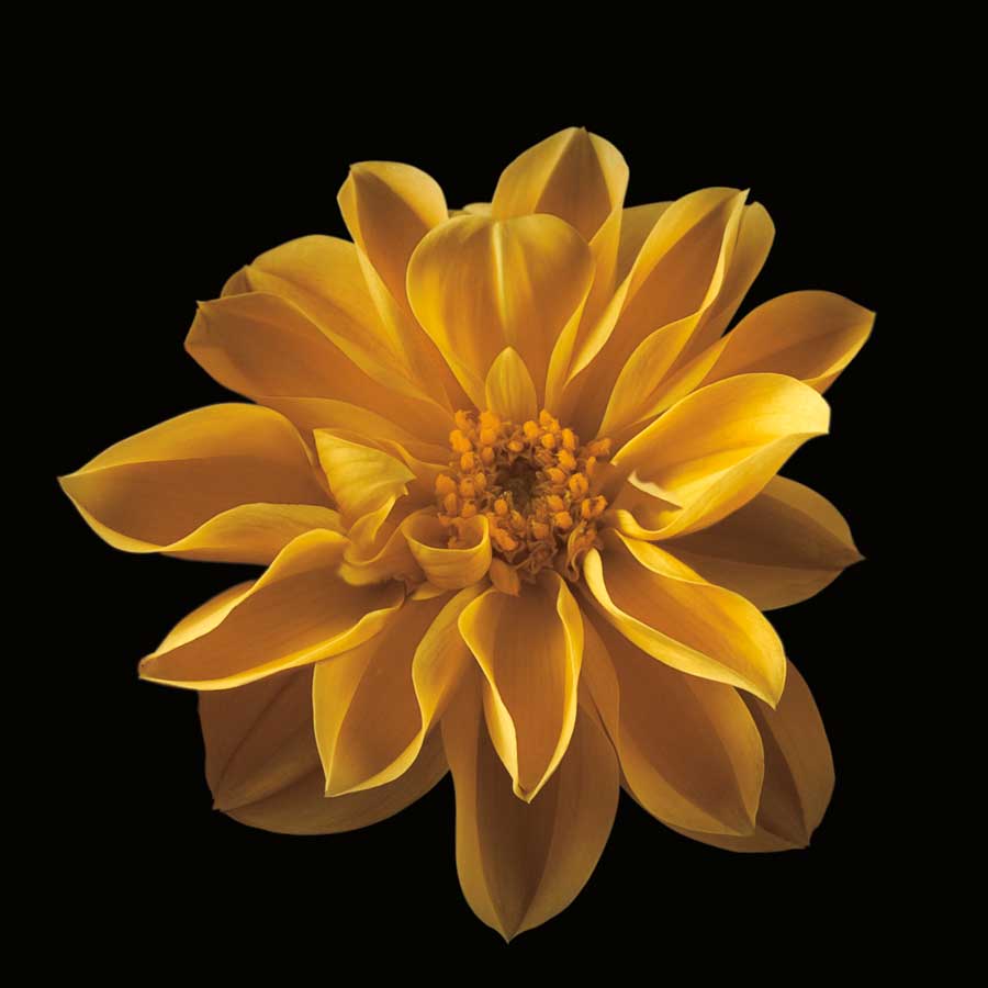 Four Keeps III by artist Assaf Frank