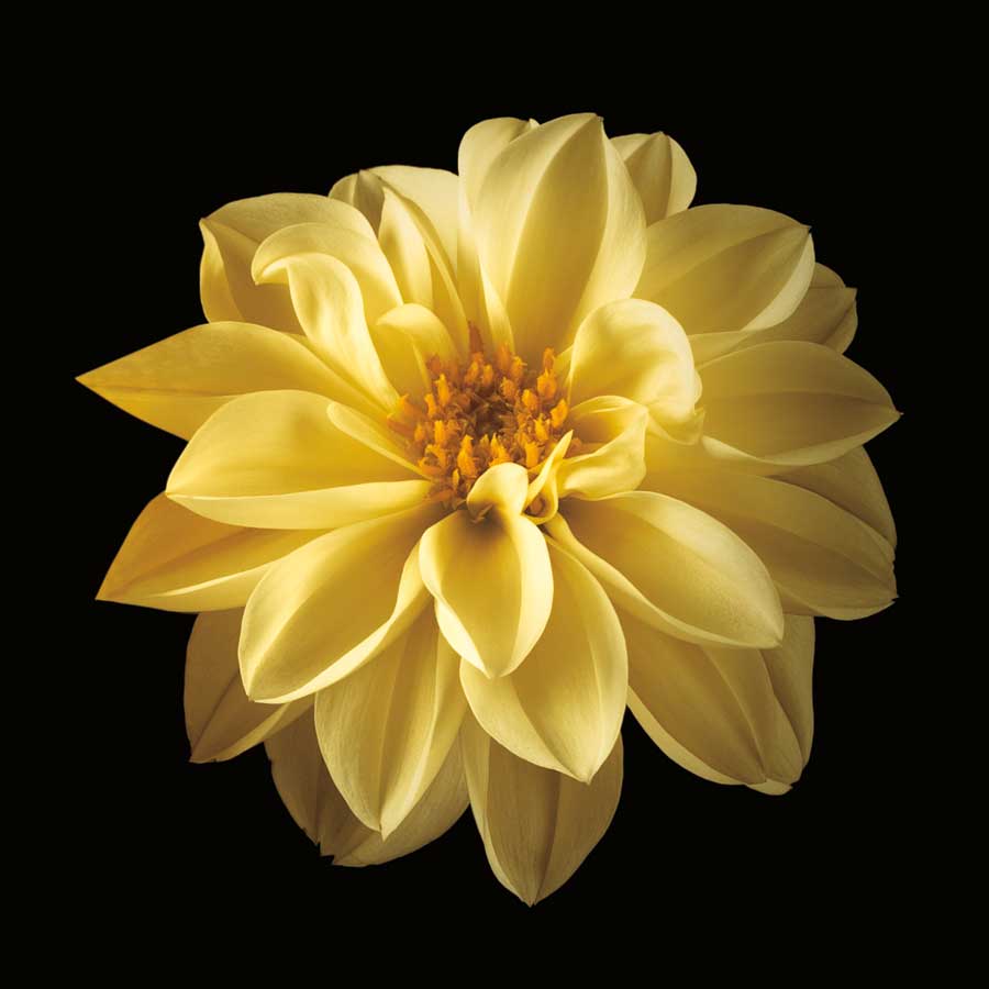 Four Keeps IV by artist Assaf Frank