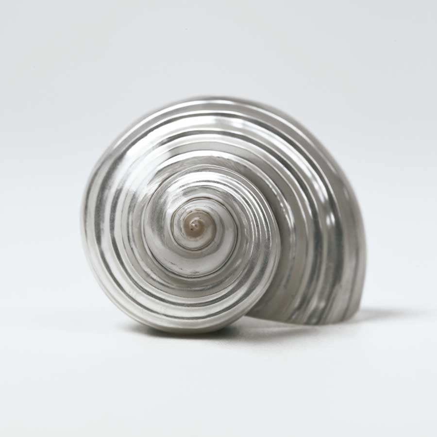 Beachside Treasure II by artist Assaf Frank