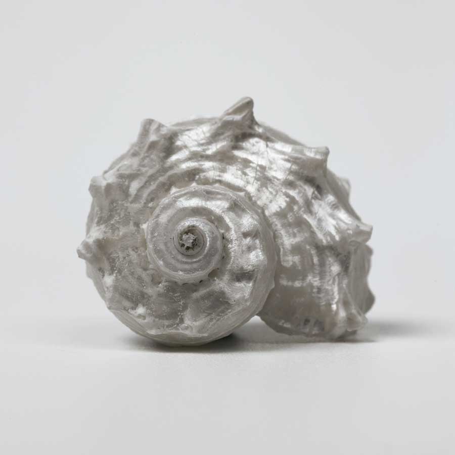 Beachside Treasure III by artist Assaf Frank