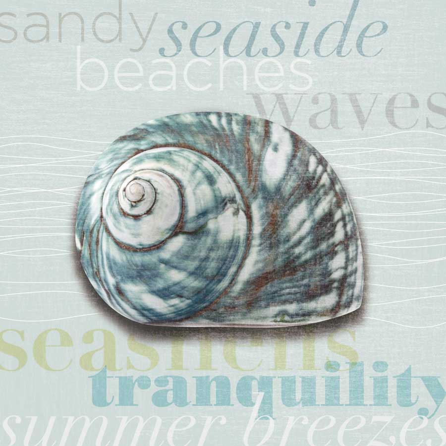 Beach Collection I by artist Tandi Venter