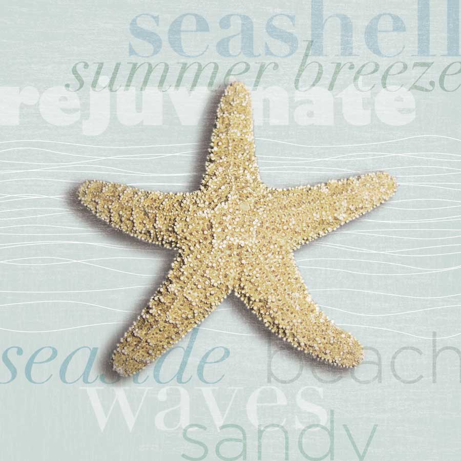 Beach Collection II by artist Tandi Venter