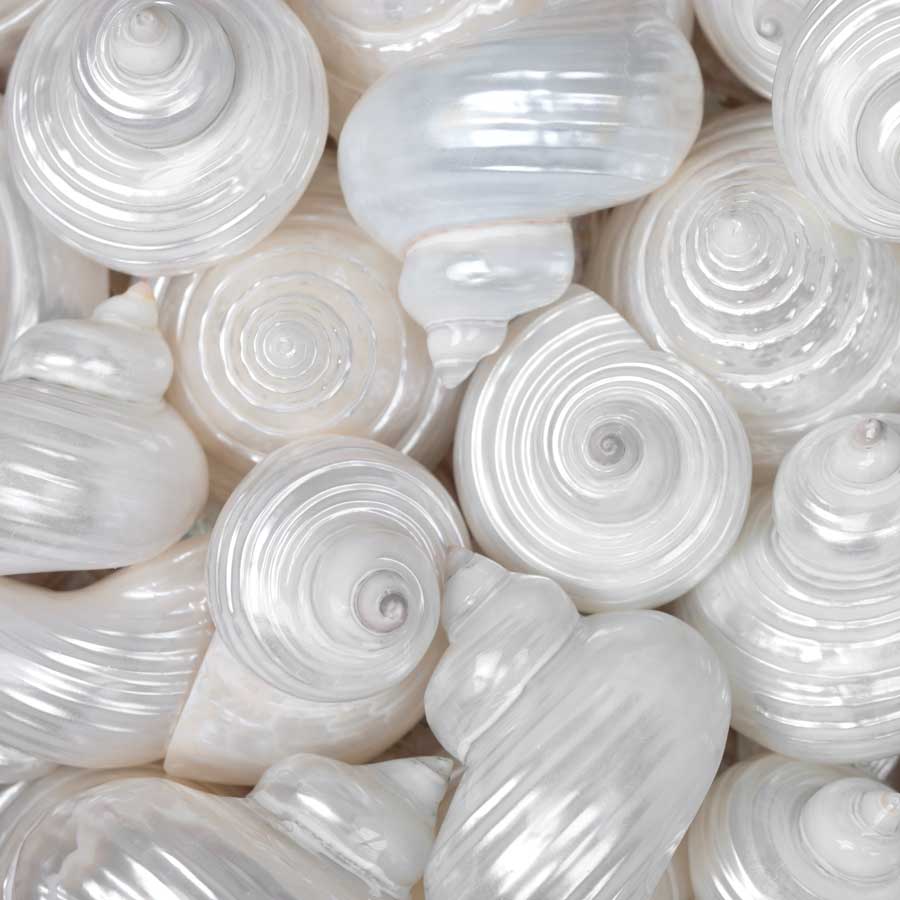 Opalesque I by artist Assaf Frank