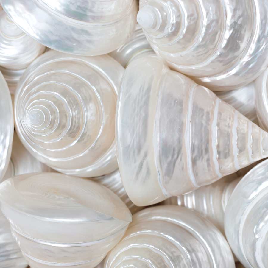 Opalesque II by artist Assaf Frank