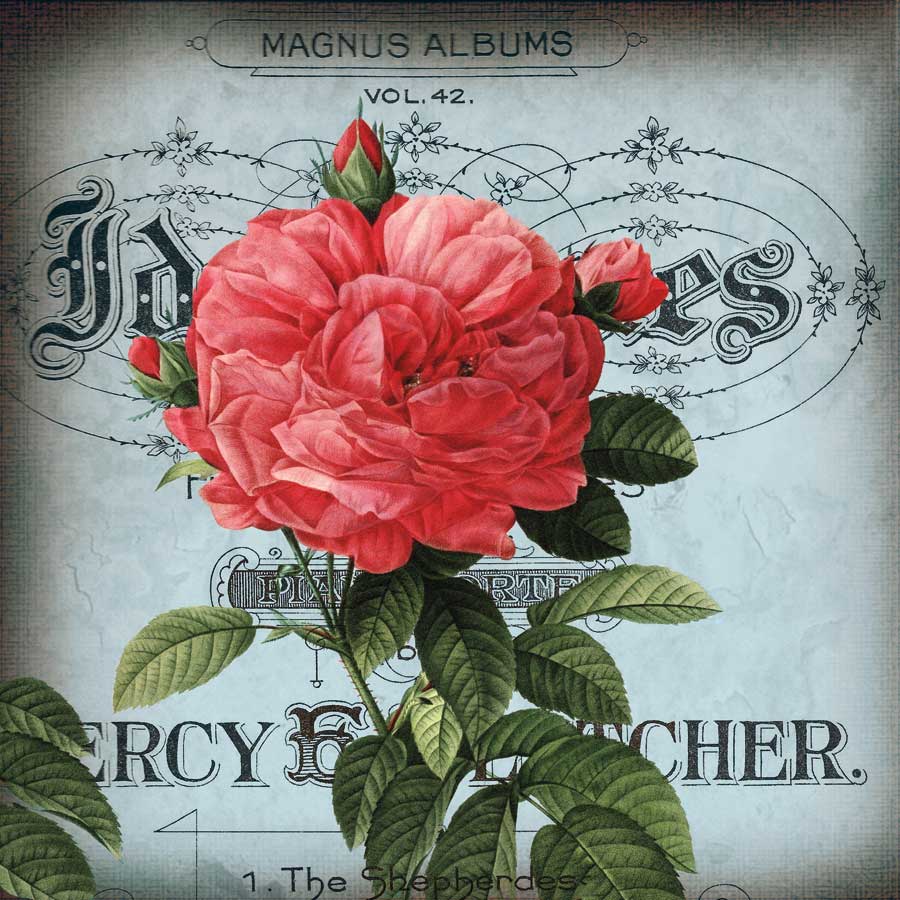 Petite Rose I by artist Sabine Berg