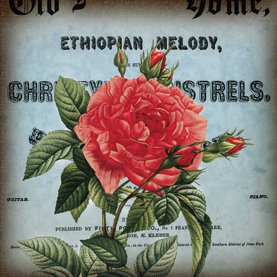 Petite Rose II by artist Sabine Berg